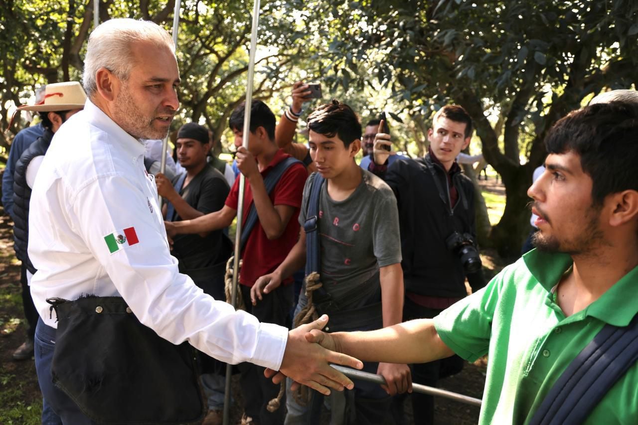 Alfredo Ramírez Bedolla busca proteger el aguacate michoacano con Indicación Geográfica.