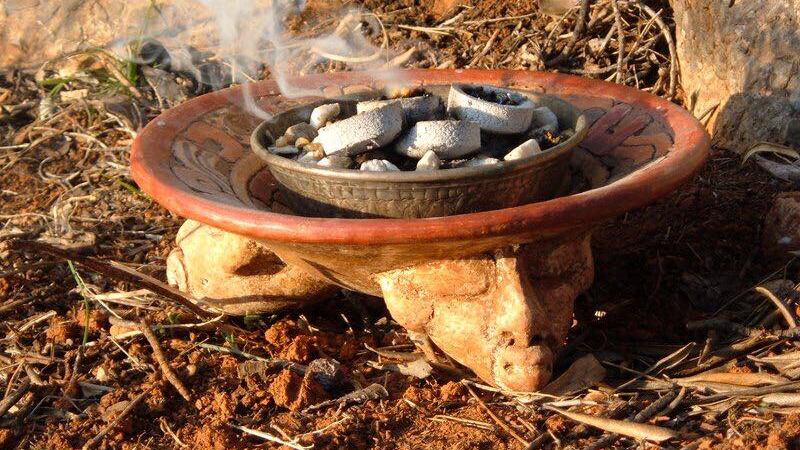¿Por qué el copal está en riesgo de desaparecer? El triste futuro del “alimento de dioses” en Día de Muertos