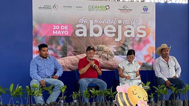 Ricardo Gallardo impulsa actividades por el Día Mundial de las Abejas en la Huasteca.