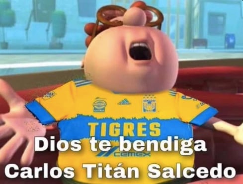Memes Tigres