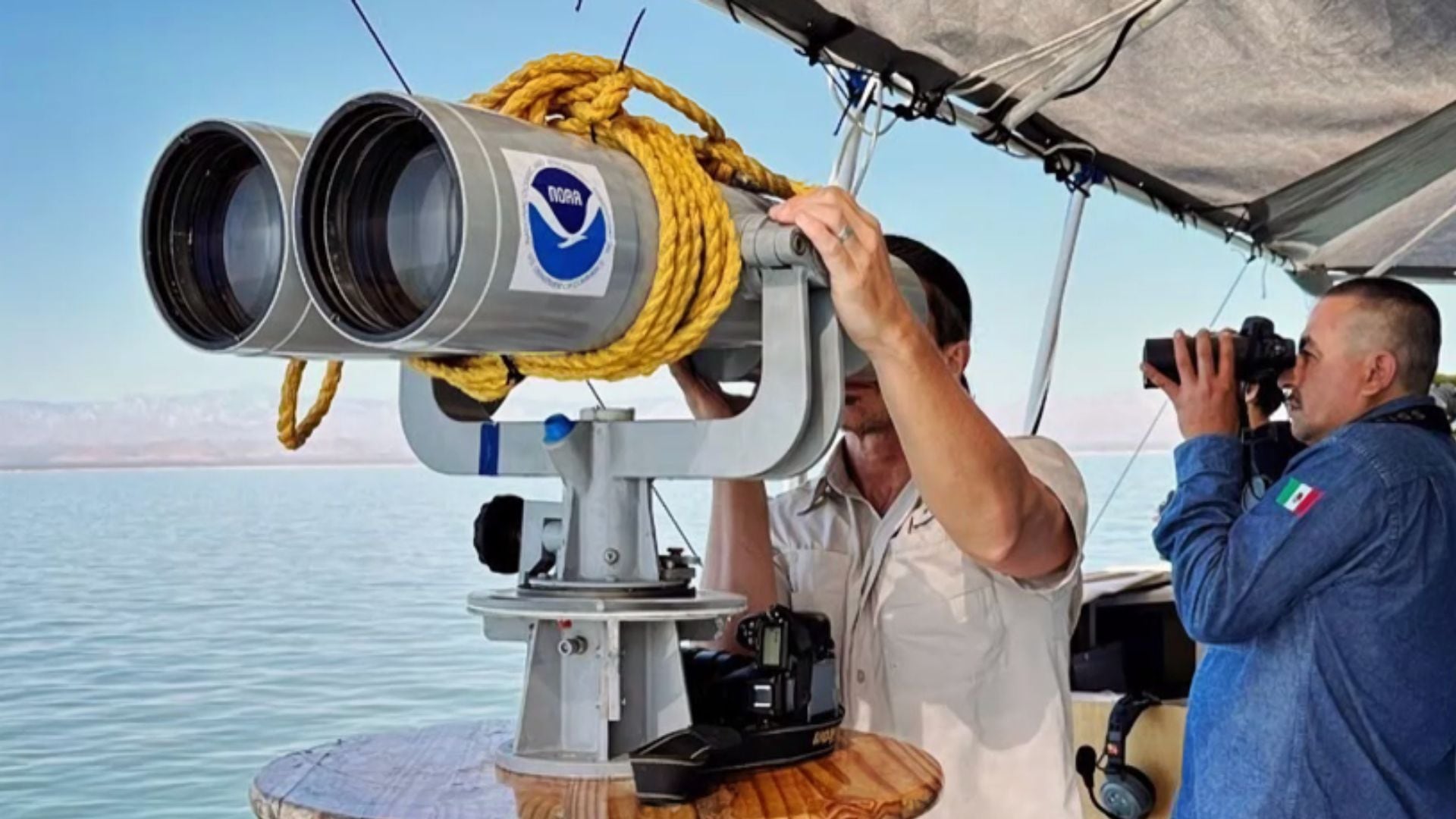 La vaquita marina se encuentra en peligro de extinción pero sociedad y gobierno preparan a una nueva generación de 11 observadores para su conservación en San Felipe, Baja California