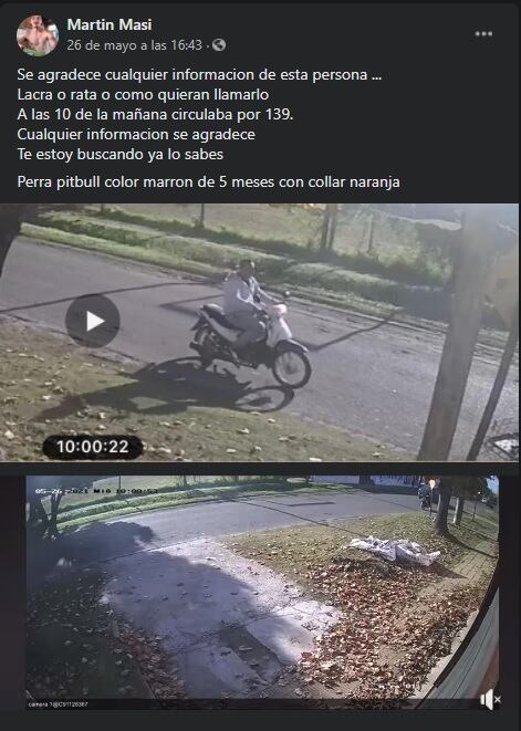En Argentina, un secuestrador se roba a una perrita y después la devuelve