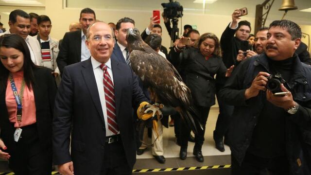 @FelipeCalderon