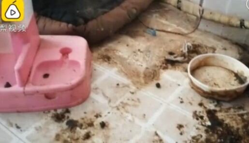 Apartamento de Lisa Li