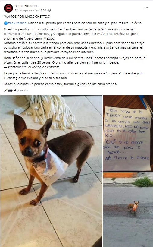 Perrita es enviada a la tienda a comprar Cheetos