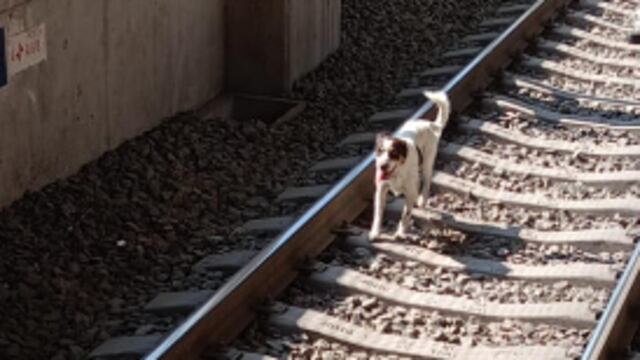 ¿Qué pasa en el Metro CDMX hoy 5 de junio?
