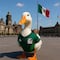 Merlín, el pato mexicano que enamora Canadá