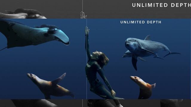 Será en el Parque Nacional Archipiélago Espíritu Santo ubicado en la bahía de La Paz.