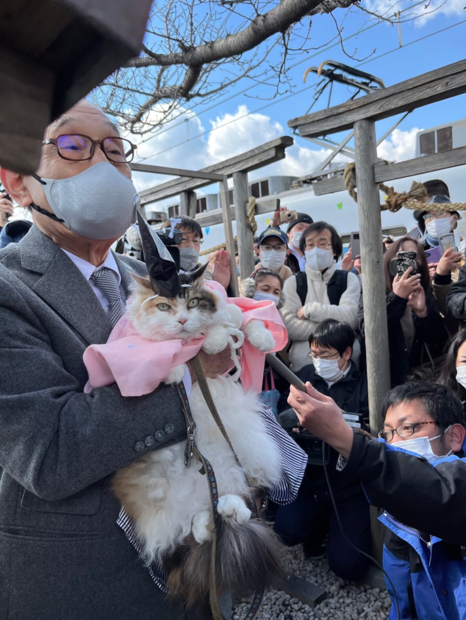 Gato es proclamado sacerdote