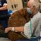 Perro se reencuentra con su dueño en el hospital