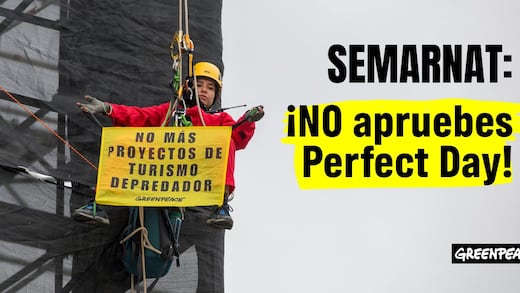 Greenpeace lanza ciberacción por proyecto turístico en Mahahual