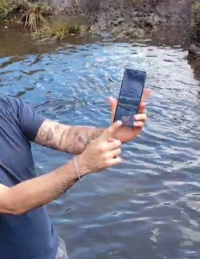 HONOR X7c, smartphone