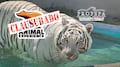 Profepa confirma la muerte de Kenzo y clausura Animal Experience México