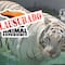 Profepa confirma la muerte de Kenzo y clausura Animal Experience México