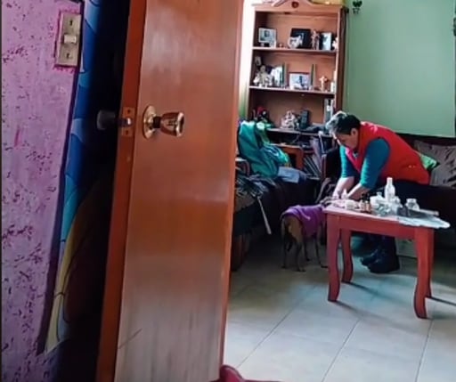 Pide a su perrita que hable con Diosito