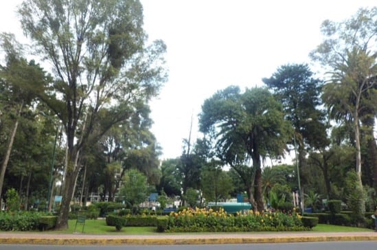 Glorieta SCOP con la fuente al centro.