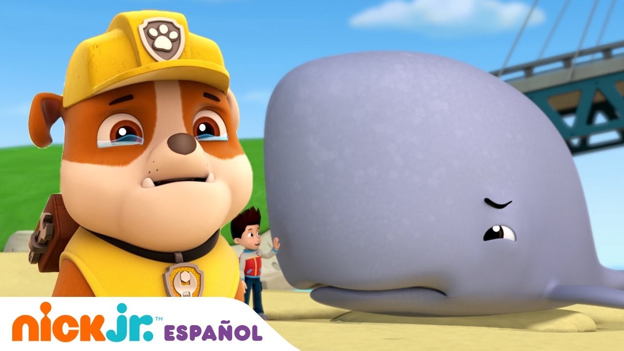 Maratón de Paw Patrol en la playa: Capítulos completos en YouTube en español para ver por el Día de las Aves Playeras
