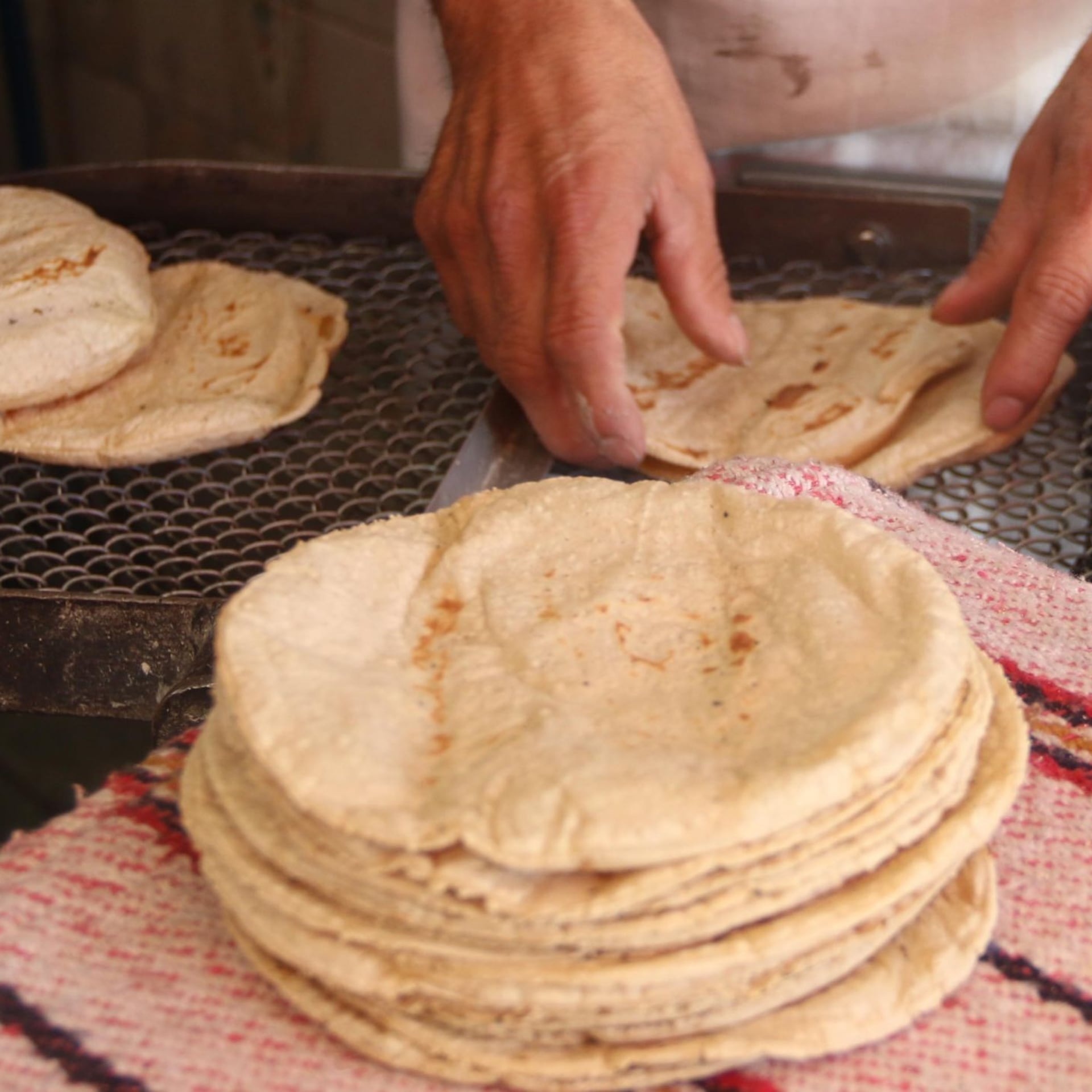 Descartan aumento al precio de la tortilla tras reunión con Sheinbaum