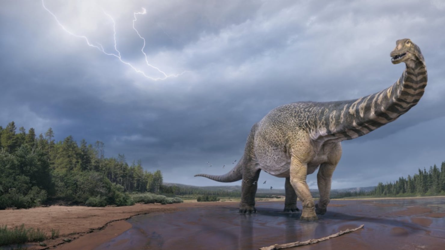 Encuentran dinosaurio gigante en Australia