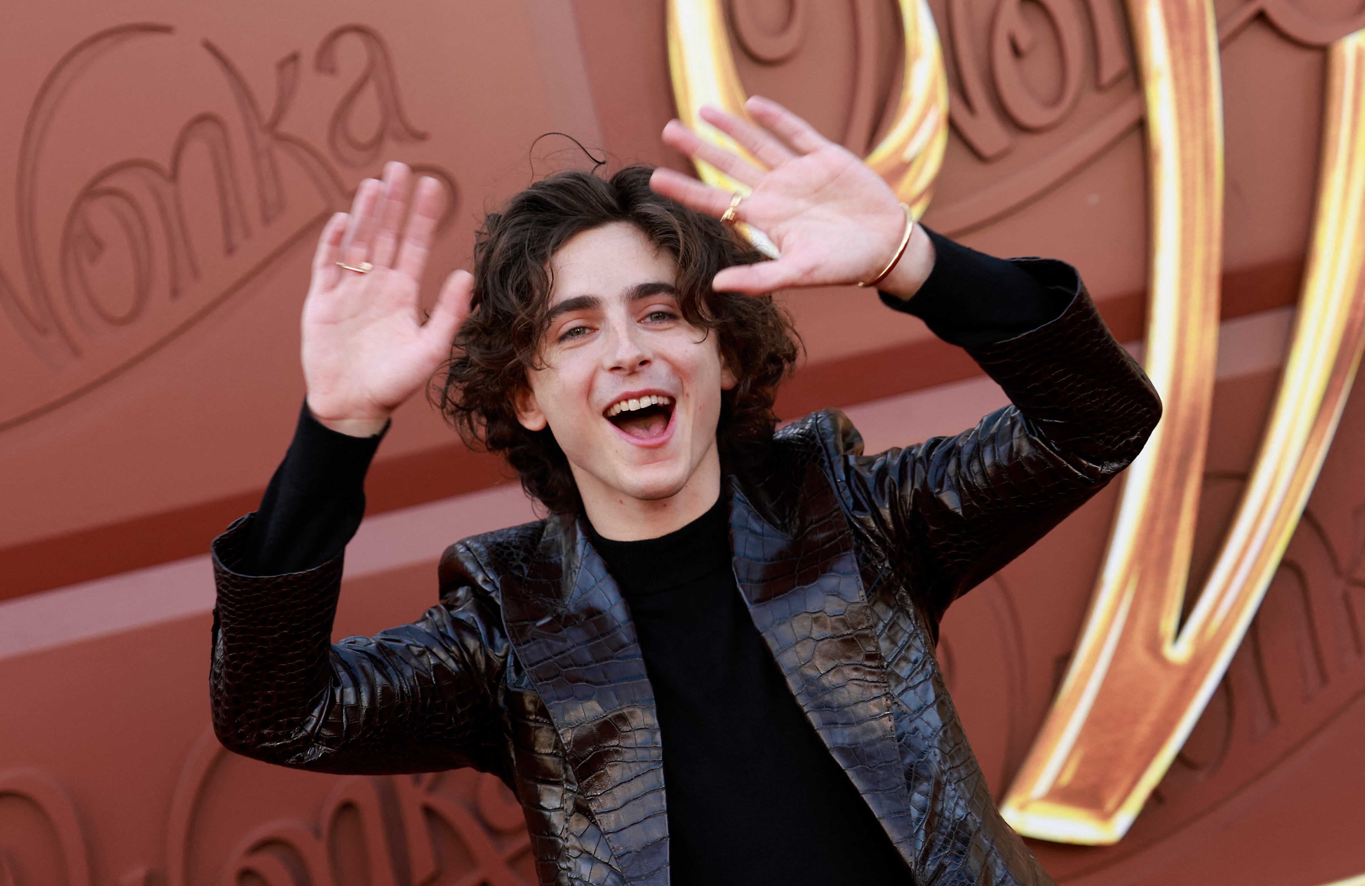 Timothée Chalamet