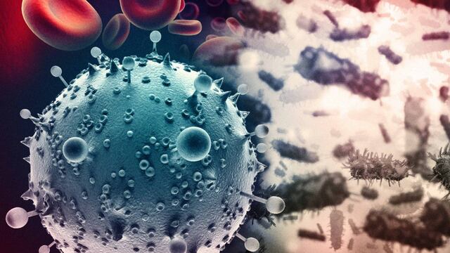 Virus de Inmunodeficiencia Humana (VIH).