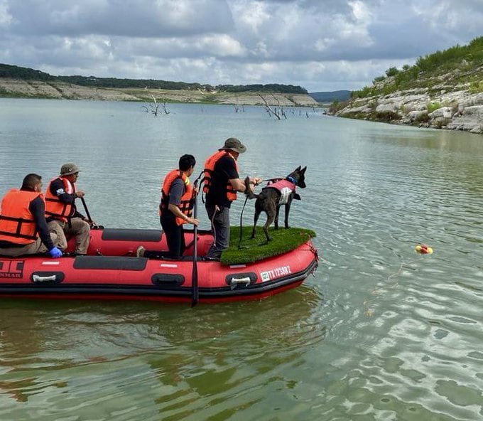 Operativos de búsqueda de equipos caninos mexicanos