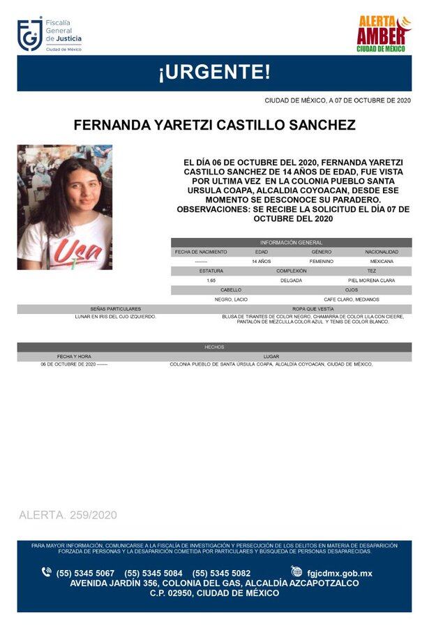 Ficha de búsqueda de Fernanda