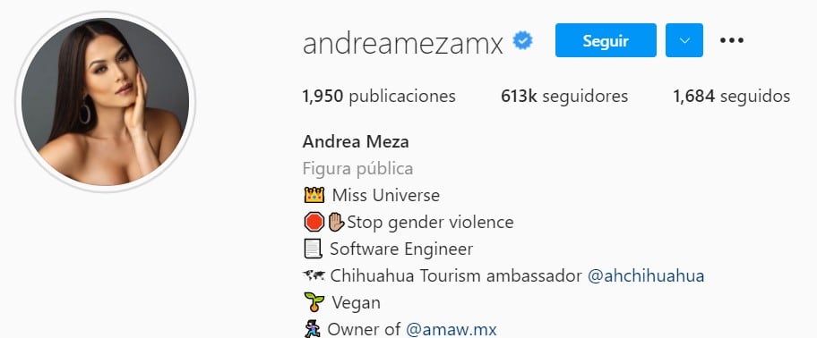 Seguidores de Andrea Meza en Instagram