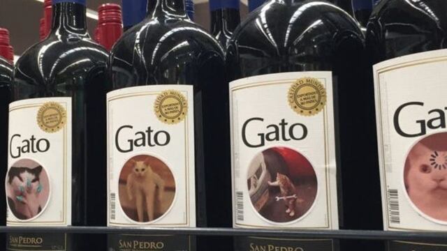 Botellas de vino con memes de gatos