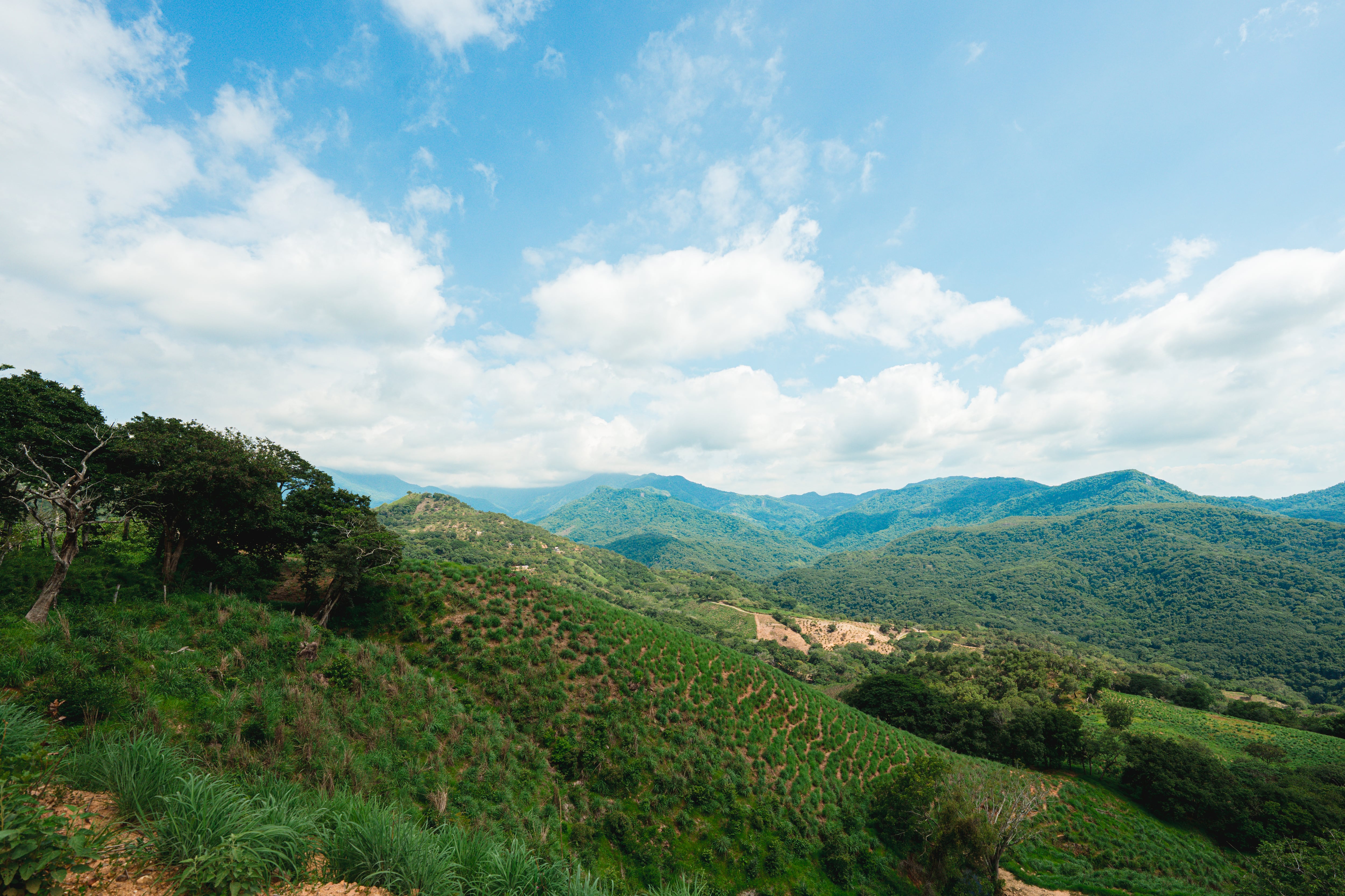 Ruiz, Nayarit: naturaleza, aventura e historia en el corazón de la sierra.