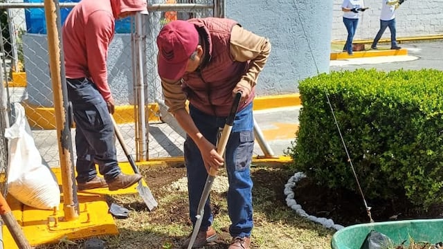 Toluca avanza con 80 jardines polinizadores; Ricardo Moreno impulsa recuperación.