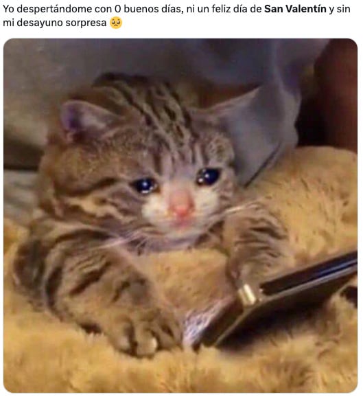 Los memes del Día de San Valentín
