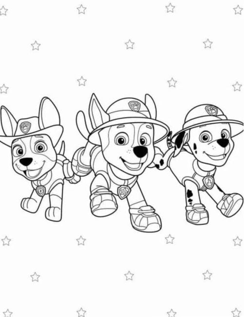 Paw Patrol guardabosques en el Día Mundial de Bendecir a los animales
