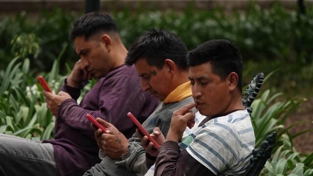 Tres jovenes observan su celular al mismo tiempo en el Bosque de Chapultepec
