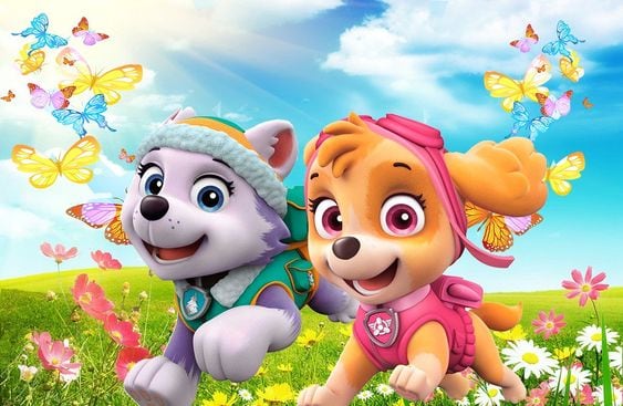 Paw Patrol