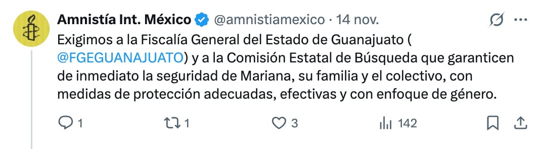 Amnistía Internacional pide protección para Mariana Valeria Ibarra