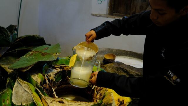 Proceso para la elaboración del pulque