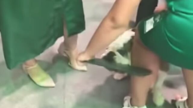 El perro arrebató el diploma de la joven graduada.