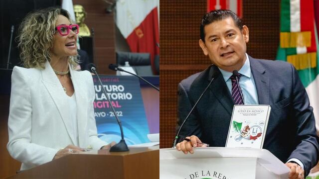 Alejandra Lagunes, Alejandro Armenta