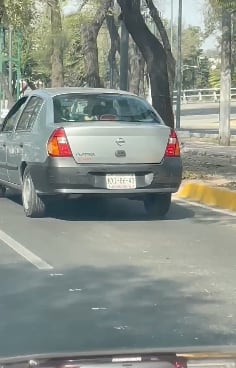 Captura de video de vehículo que abandonó a un perrito en la CDMX