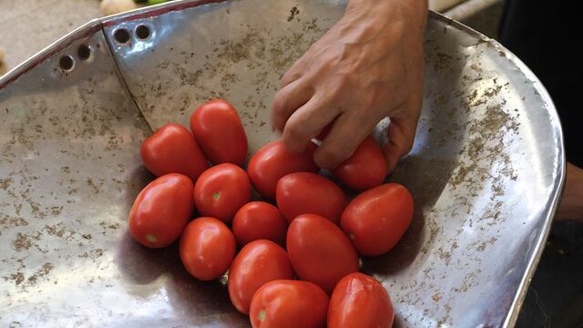 Eliminan aranceles a jitomate mexicano en Estados Unidos