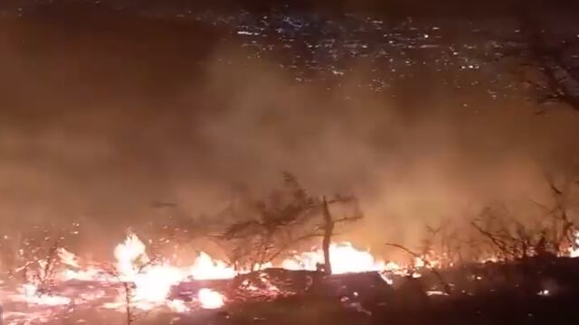 ¿Qué pasó en Monte Albán? Incendio afecta 30 hectáreas de la zona