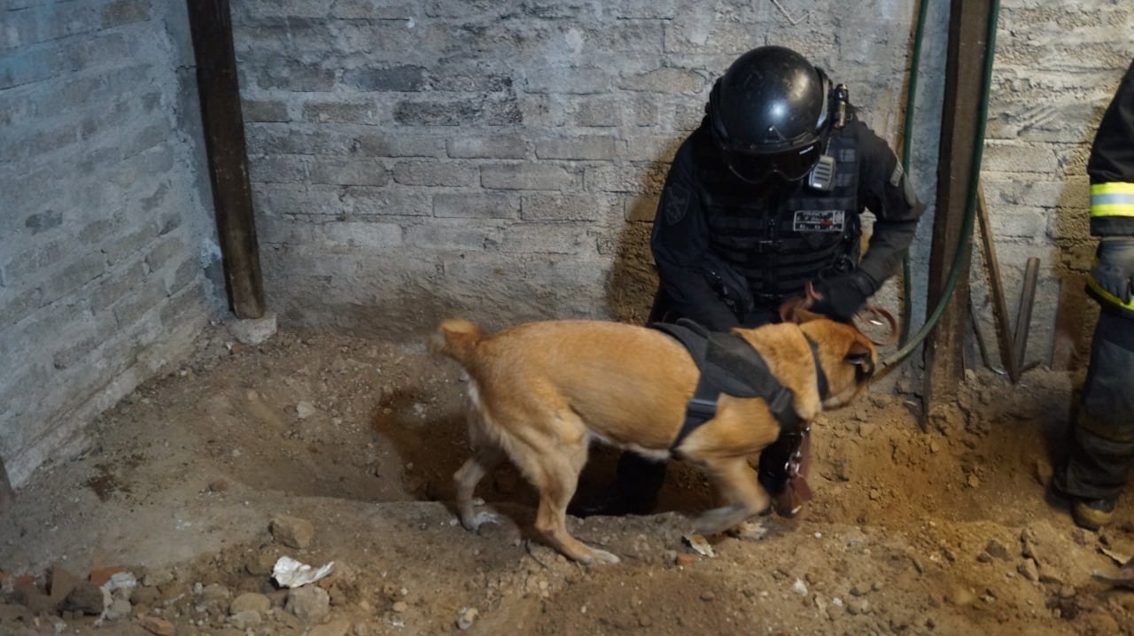 Binomios caninos buscan restos humanos en casa del feminicida de Atizapán