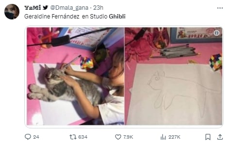Memes de Geraldine Fernández, diseñadora que no trabajó para Studio Ghibli en El niño y la garza