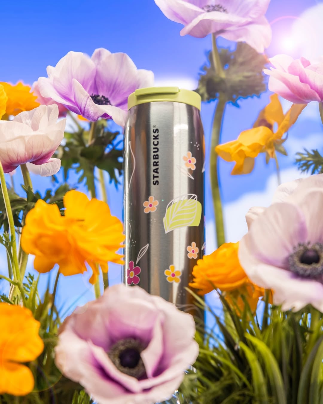 Vasos y termos de Starbucks: Colección primavera 2025