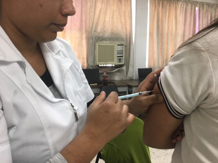 Vacunas contra la influenza