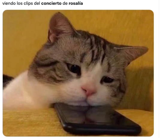 Meme de Rosalía en concierto de CDMX.