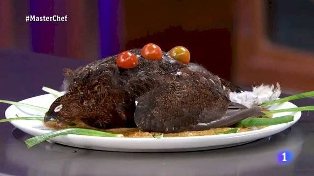 Pájaro muerto como platillo