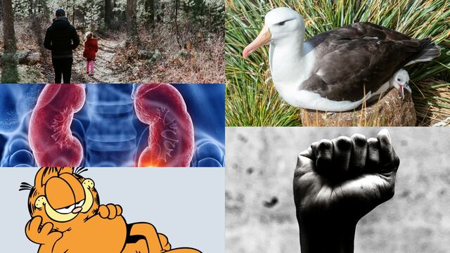 Efemérides del 19 de junio