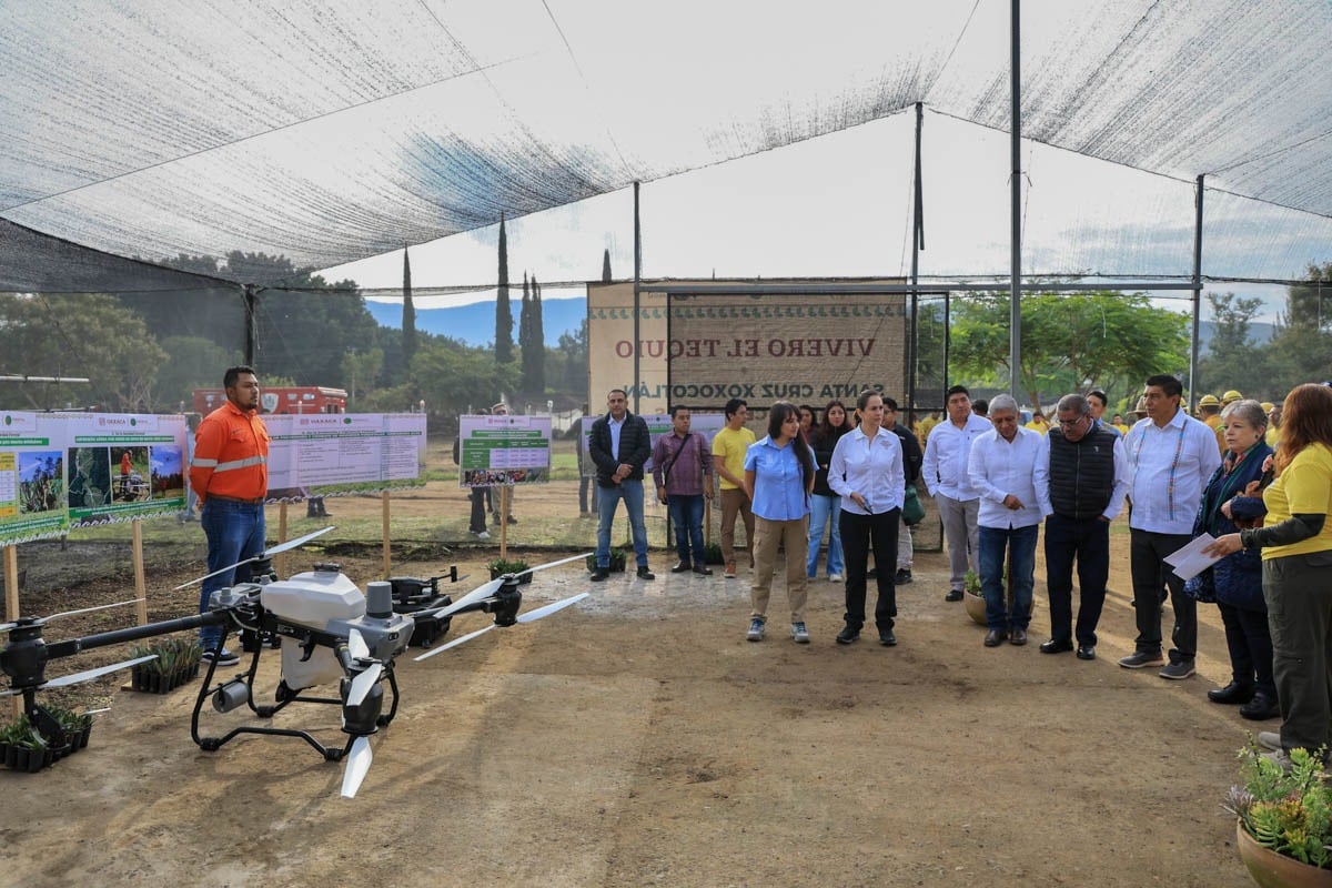 Salomón Jara presenta acciones de reforestación en visita con Alicia Bárcena, titular de Semarnat.